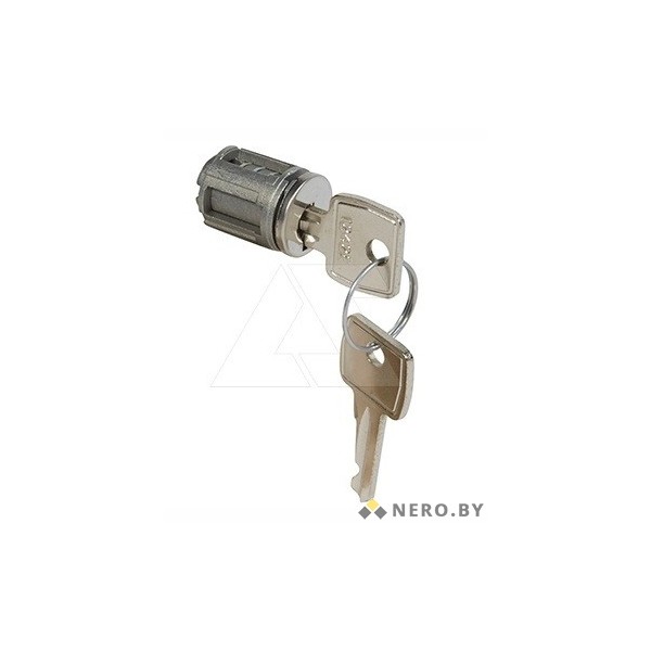Вставка под ключ Legrand 1242E циллиндрическая для двери щита XL3