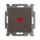 ABB - Basic 55 - Выключатель двухполюсный с подсветкой (шато-черный) - стоимость без ндс, 1020-0-0092
